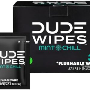 DUDE Wipes On-The-Go Mint Chill Travel Wipes - 30 Count (Individually Wrapped) - Extra-Large Adult Flushable Wipes - Infused with Tea Tree Oil, Vitamin E, and Aloe - Septic and Sewer Safe