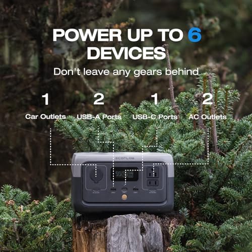 EF ECOFLOW Portable Power Station RIVER 2, 256Wh LiFePO4 Battery/ 1 Hour Fast Charging, 2 Up to 600W AC Outlets, Solar Generator (Solar Panel Optional) for Outdoor Camping/RVs/Home Use - Image 6