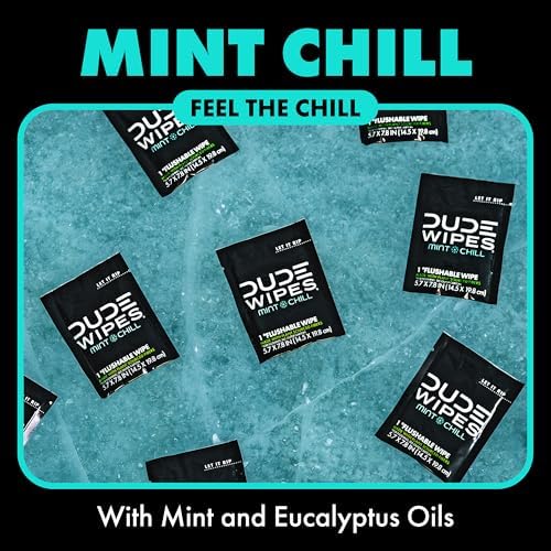 DUDE Wipes On-The-Go Mint Chill Travel Wipes - 30 Count (Individually Wrapped) - Extra-Large Adult Flushable Wipes - Infused with Tea Tree Oil, Vitamin E, and Aloe - Septic and Sewer Safe - Image 2